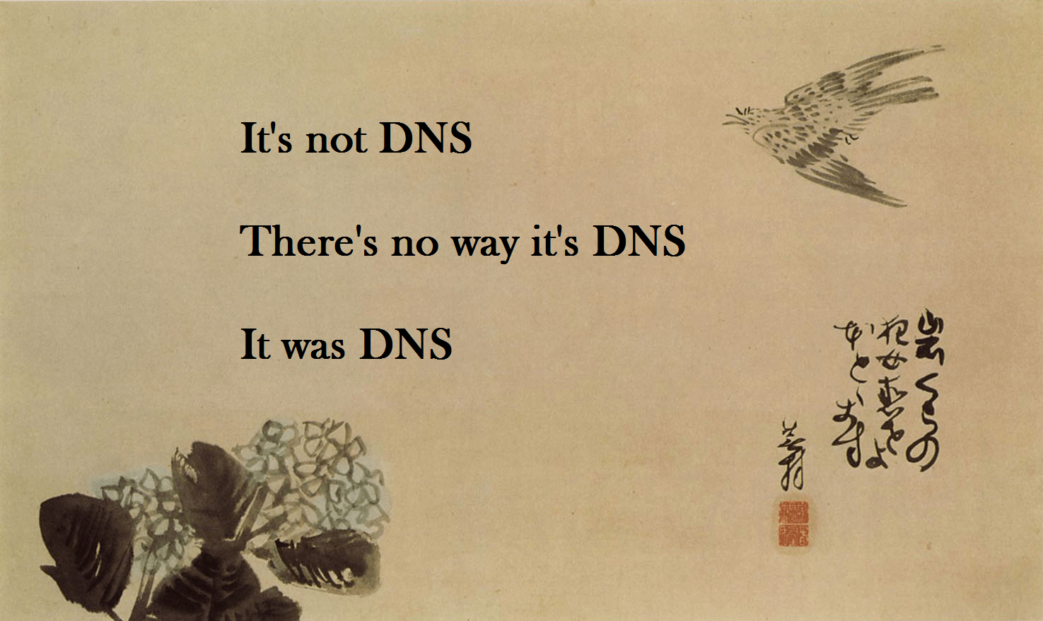 It was DNS