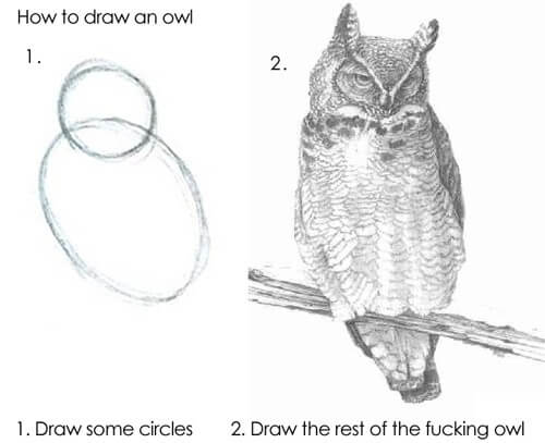 Draw the owl